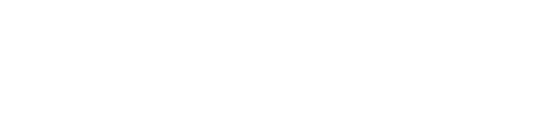 Delta Airlines official sponsor logo