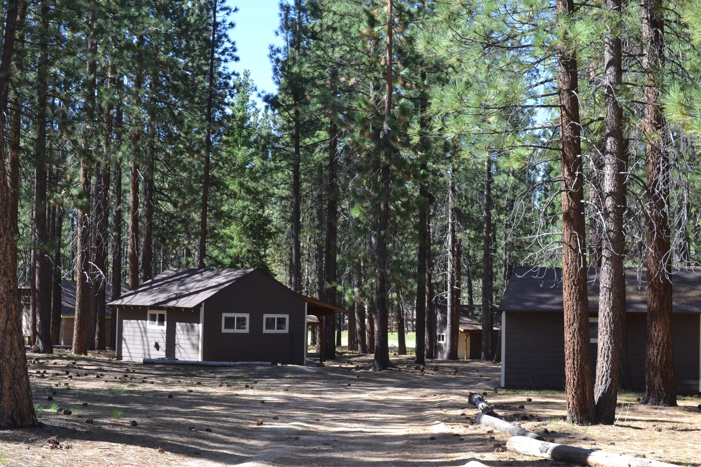 Camp Cabins