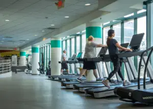 Fitness & Wellness